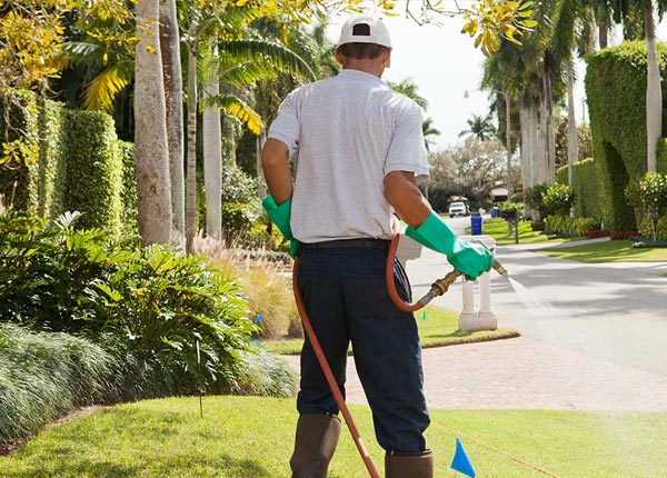 About Salem WI Pest Control
